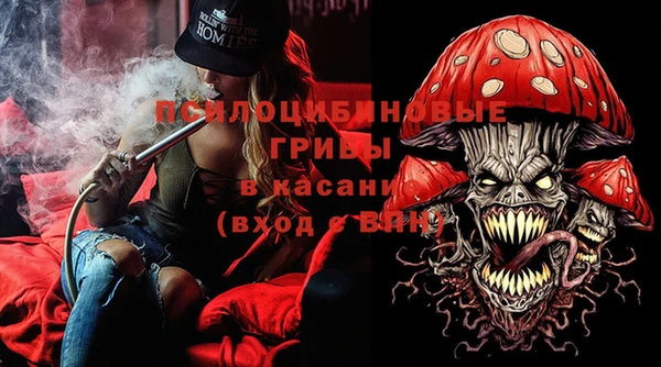 mdma Бородино