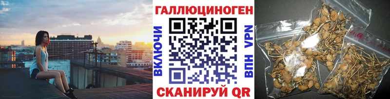 Галлюциногенные грибы GOLDEN TEACHER  Купить где  Златоуст 